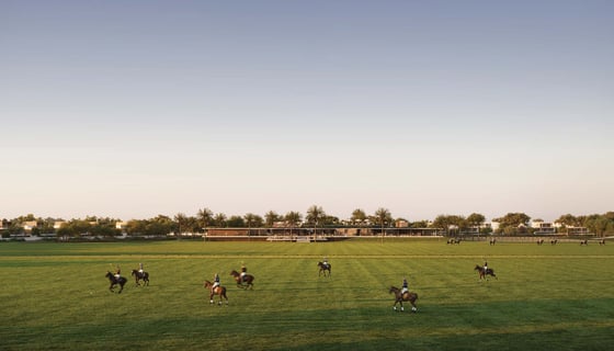 Grand Polo Club and Resort, picture 4