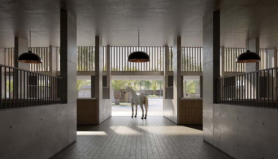 Grand Polo Club and Resort, picture 7