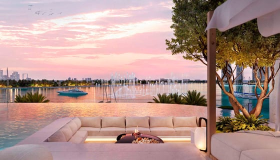 Atélis at D3, picture 7