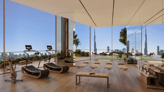 SOL Luxe, picture 6