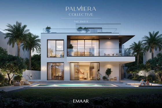 Palmiera Collective, picture 7