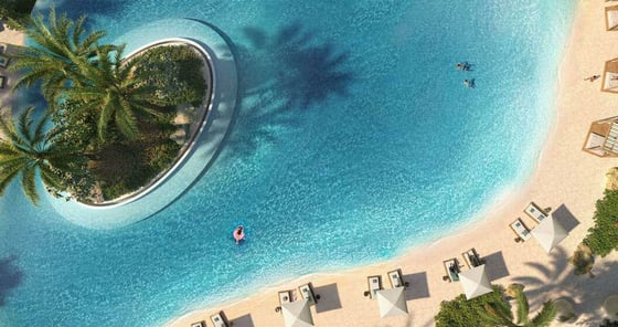 Palmiera Collective, picture 3