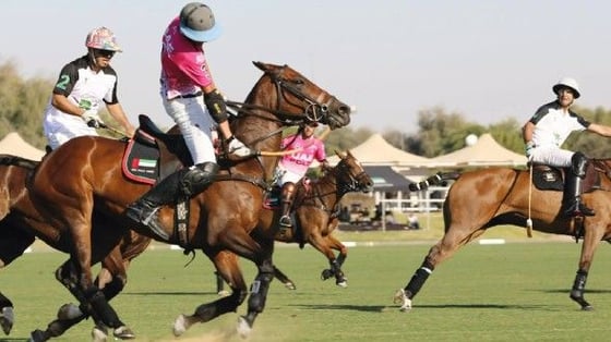 Equestrian, picture 1