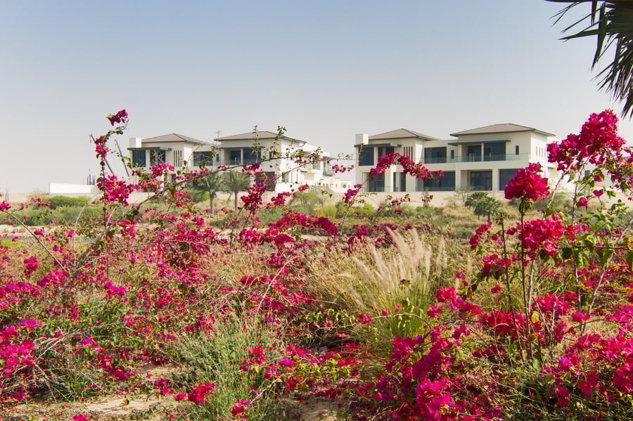 Dubai Hills, picture 1