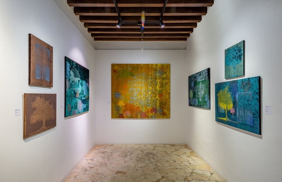 Solimar Miller / Witnessing Us at XVA Art Gallery