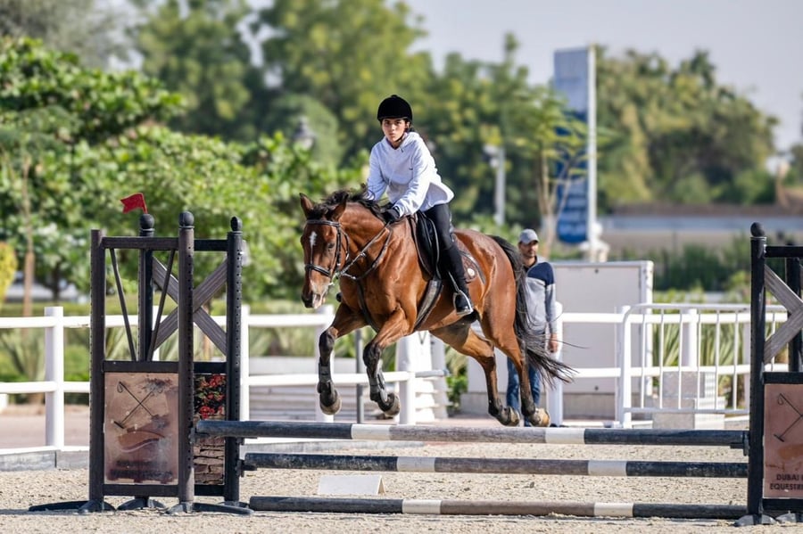 1ccafce5125d30ffb61213ace12f9492