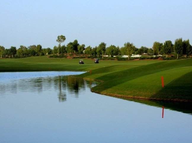 0406ea62e11ed39e3cc0f6c97af3574106da4a2972ed62908af3944967f3fab0