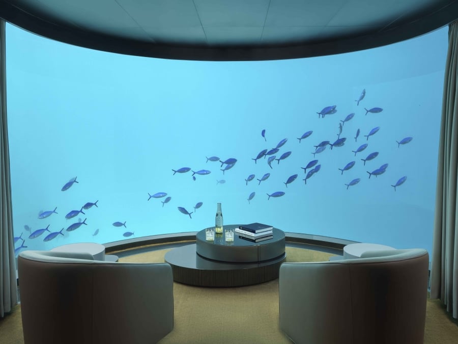 d3a863832a664eca30e1ef2a54f930d8