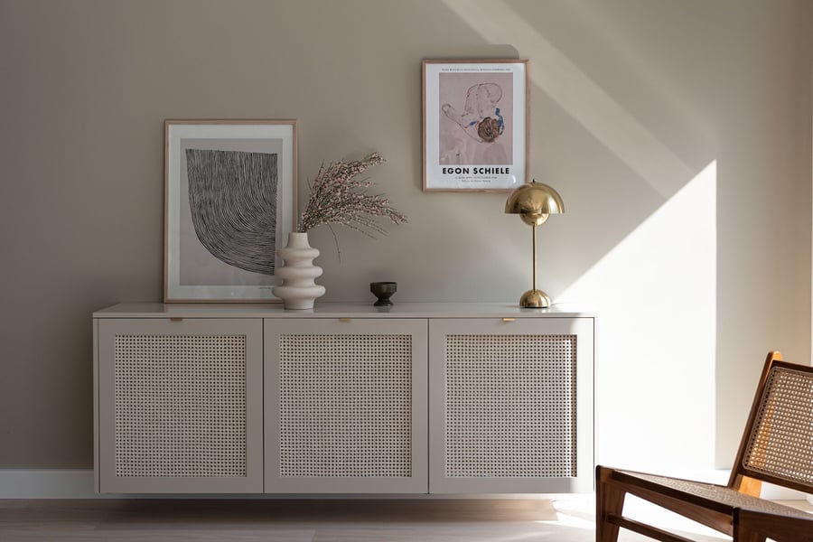 Cane weave fronteriors