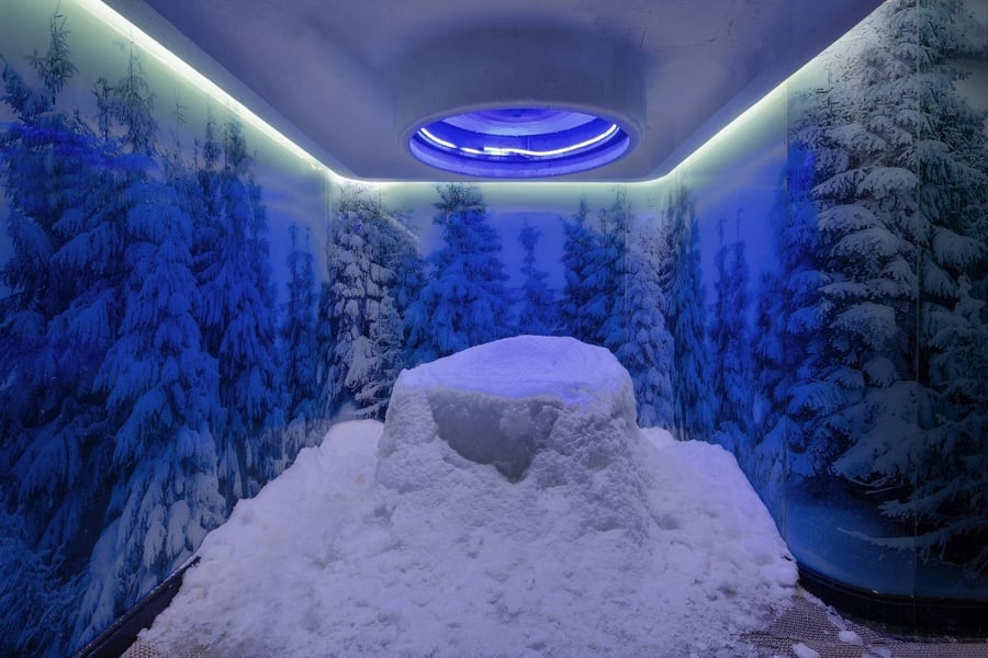 Ice room