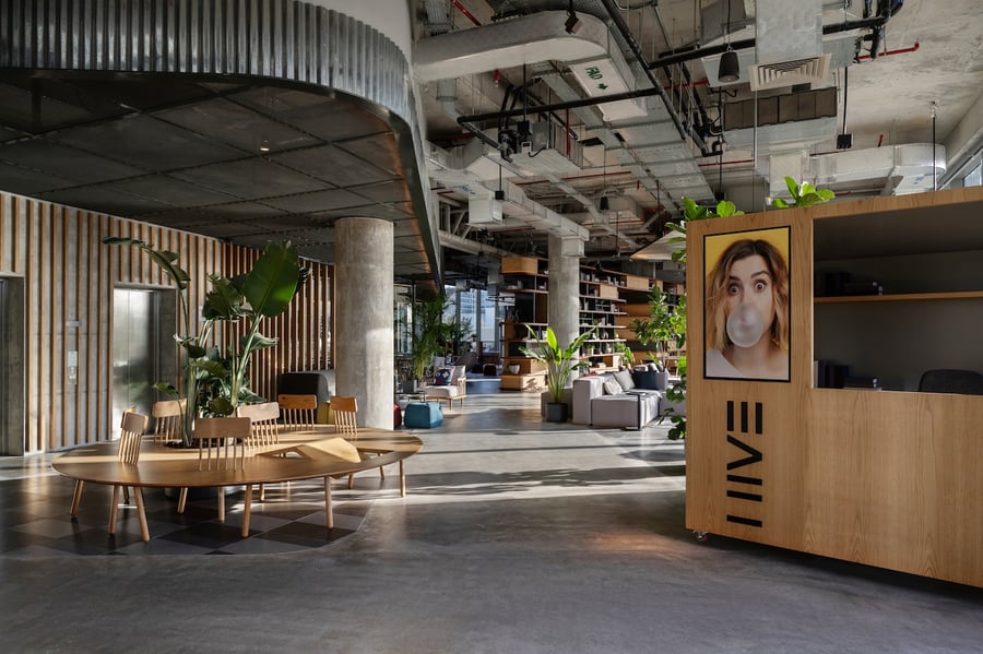 HIVE Co-Live Image credit: Natelee Cocks Photography